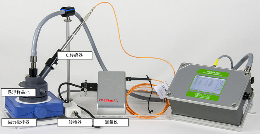 O2FluoSystem01_xl.jpg O2FluoSystem01_xl.jpg