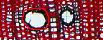 軟件特點-4.bmp 軟件特點-4.bmp
