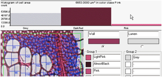 軟件特點-2.png 軟件特點-2.png