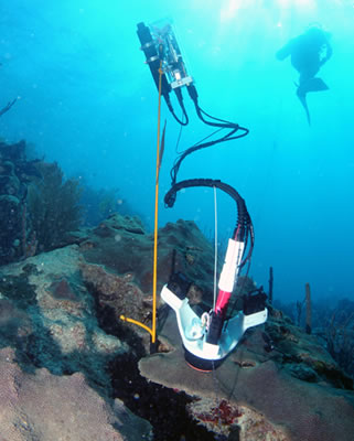 CISME18112602.jpg CISME18112602.jpg