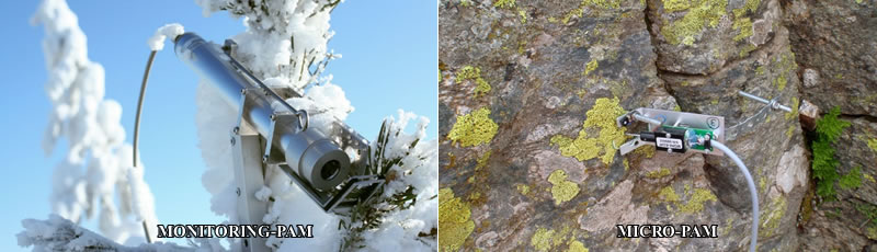 圖3200713.jpg 圖3200713.jpg