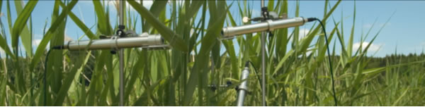 圖9200713.jpg 圖9200713.jpg