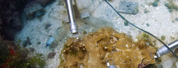 圖10200713.jpg 圖10200713.jpg