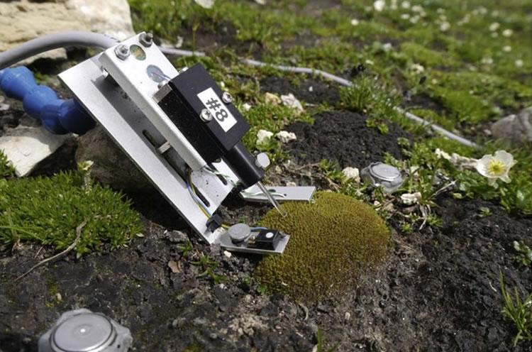 image009.jpg image009.jpg