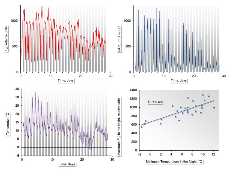 image012.jpg image012.jpg