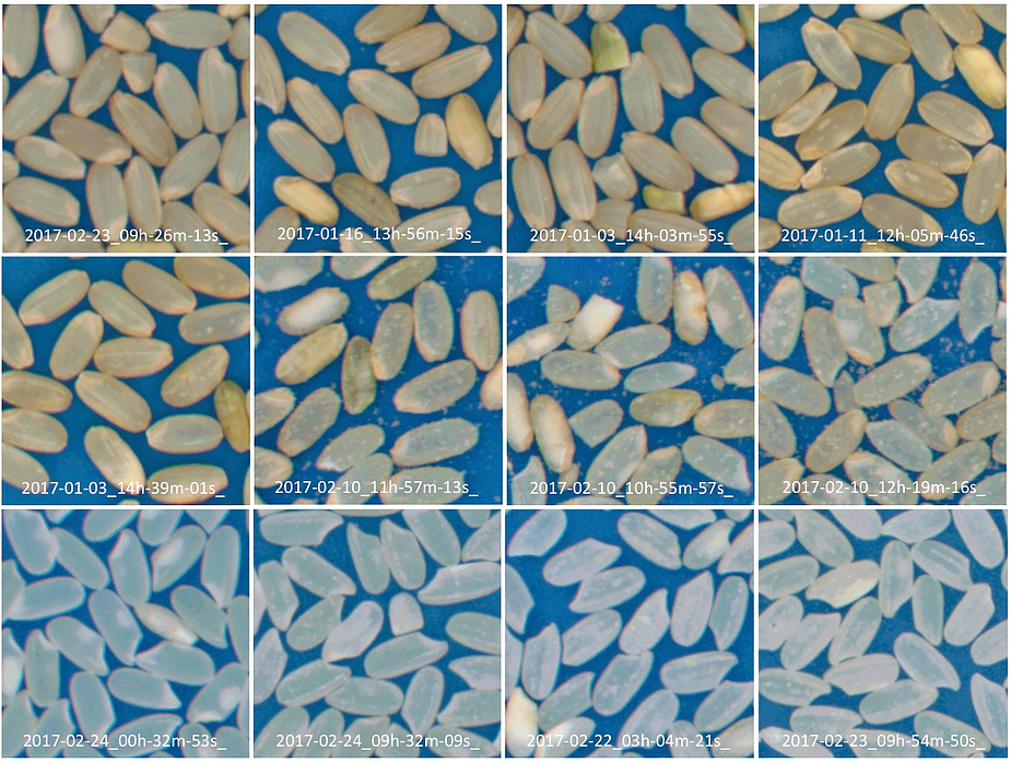 圖片10.png 圖片10.png