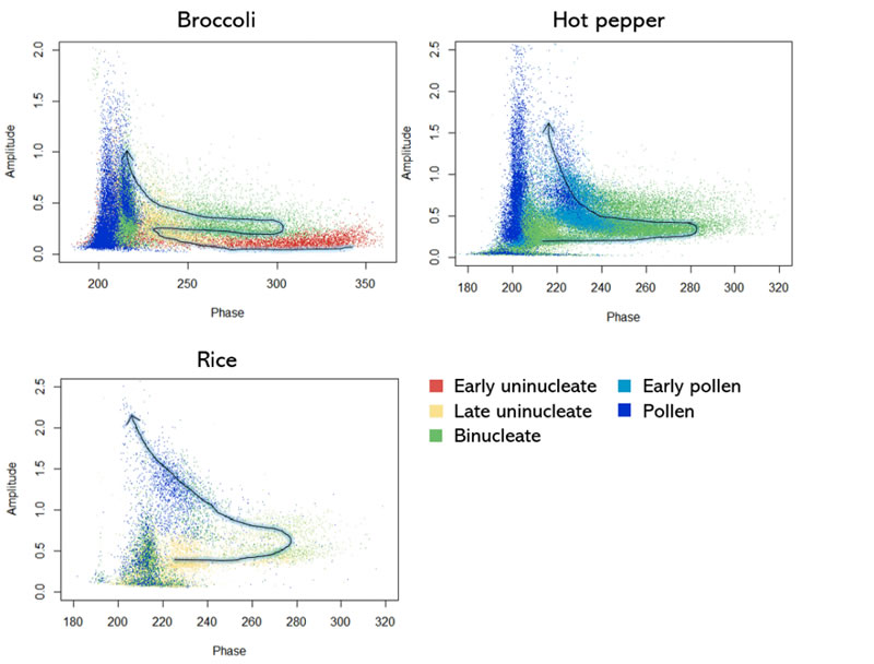 t2210415.jpg t2210415.jpg