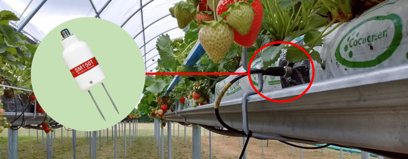 圖2211126.jpg 圖2211126.jpg