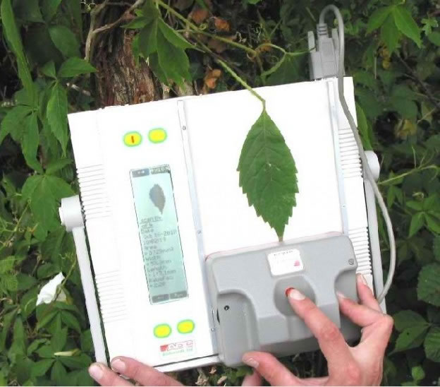 圖422022803.jpg 圖422022803.jpg