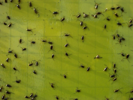 圖片13.png 圖片13.png