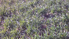 圖片20.png 圖片20.png