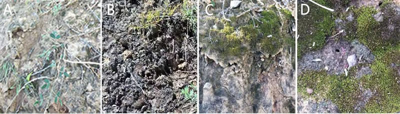 圖723020301.jpg 圖723020301.jpg