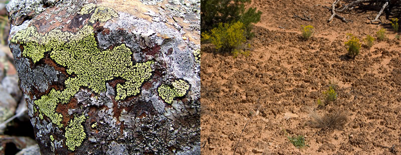 圖123020301.jpg 圖123020301.jpg