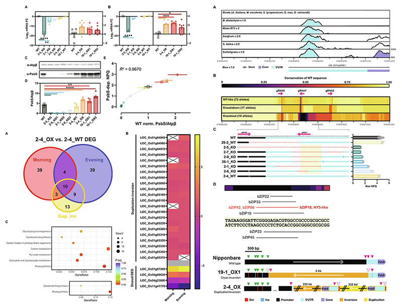 圖224061001s.jpg 圖224061001s.jpg