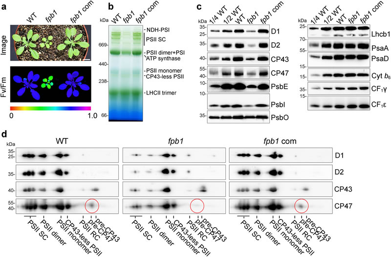 圖224042202.jpg 圖224042202.jpg