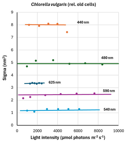 圖524102101.jpg 圖524102101.jpg