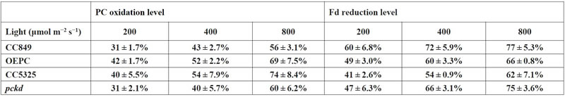 表225032601.jpg 表225032601.jpg