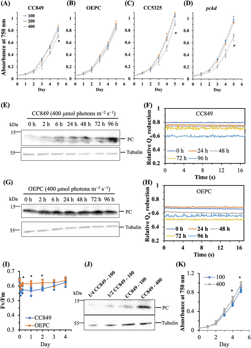 圖625032601.jpg 圖625032601.jpg