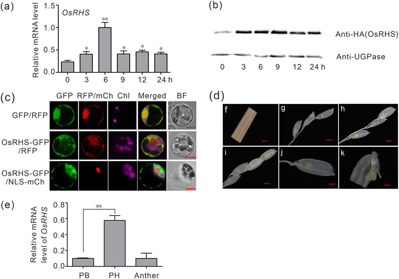 圖225033101.jpg 圖225033101.jpg
