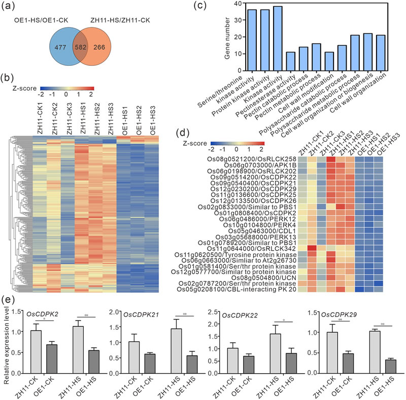 圖825033101.jpg 圖825033101.jpg