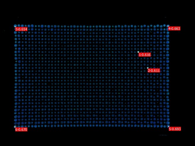 突變株的快速篩選2.jpg 突變株的快速篩選2.jpg