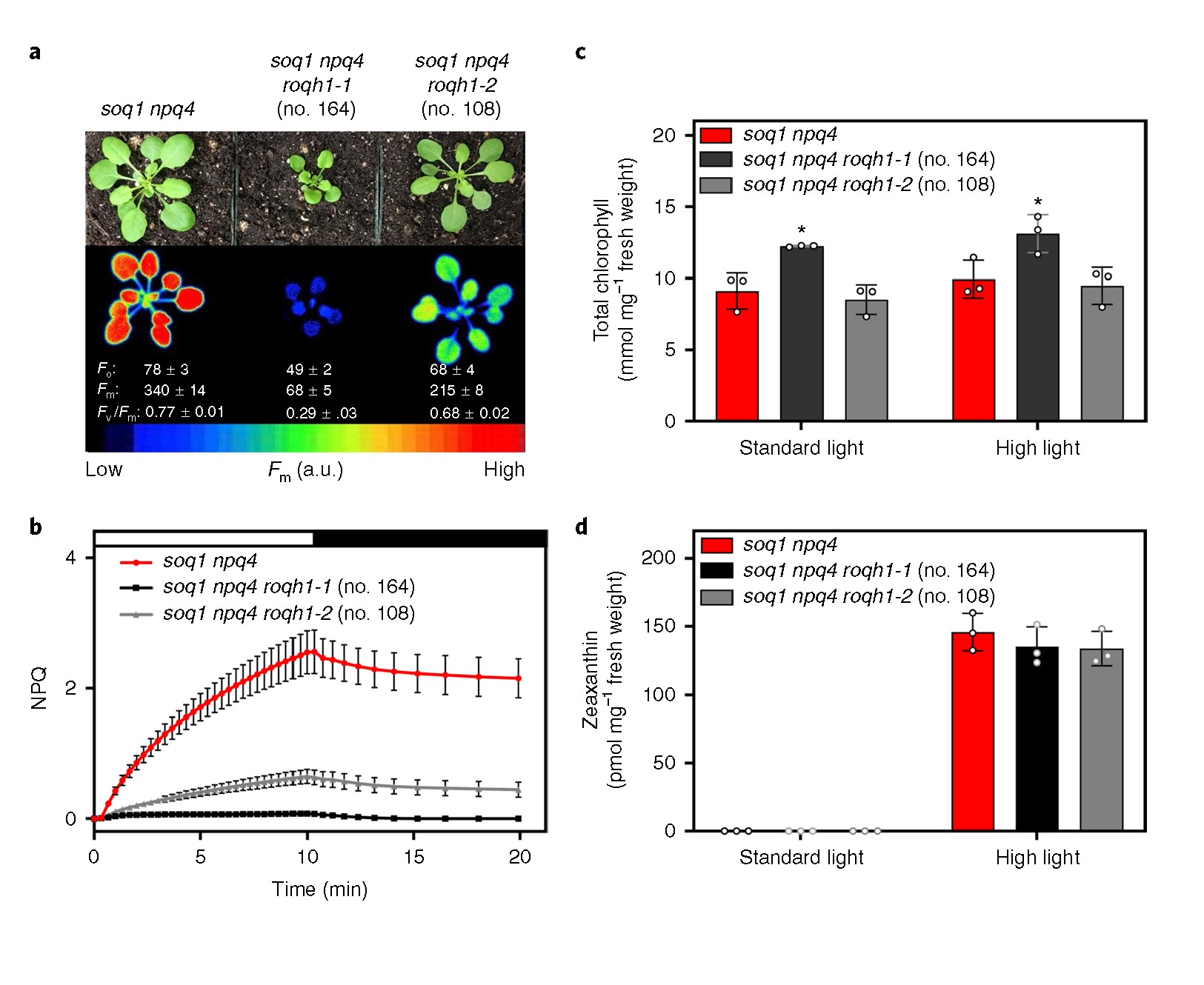 自我適應(yīng)與調(diào)節(jié)1.jpg 自我適應(yīng)與調(diào)節(jié)1.jpg