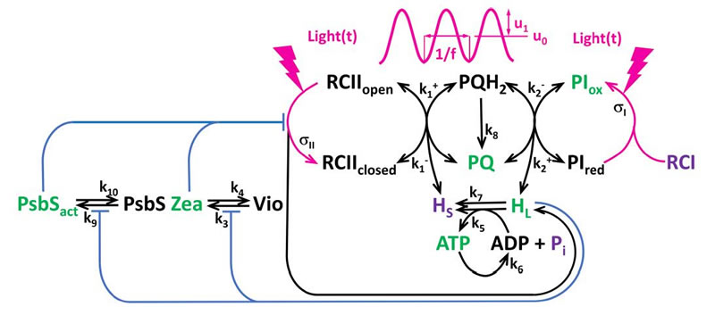 圖225080601.jpg 圖225080601.jpg