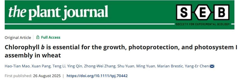 圖250828PJ-0.jpg 圖250828PJ-0.jpg