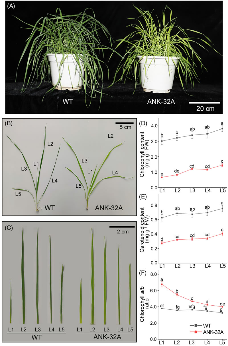 圖250828PJ-1.jpg 圖250828PJ-1.jpg