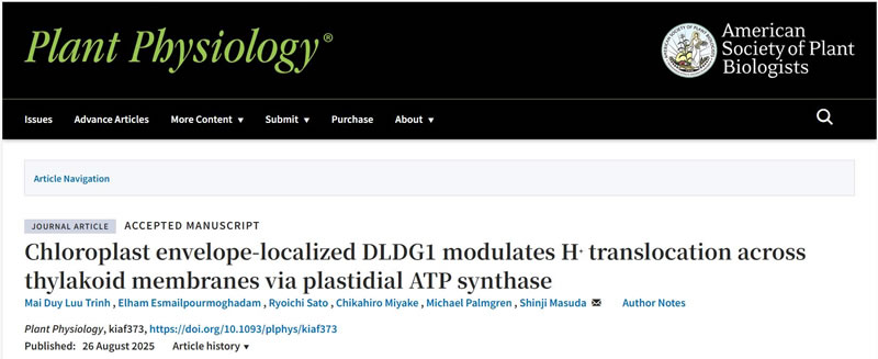 圖250828PP-0.jpg 圖250828PP-0.jpg