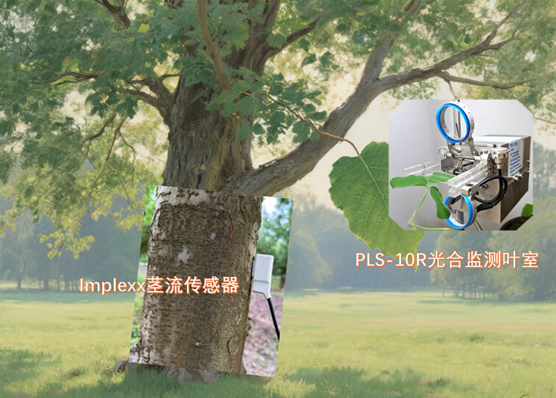 圖225082811.jpg 圖225082811.jpg