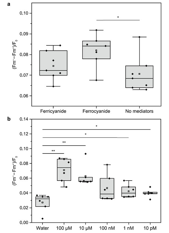圖325090301.jpg 圖325090301.jpg
