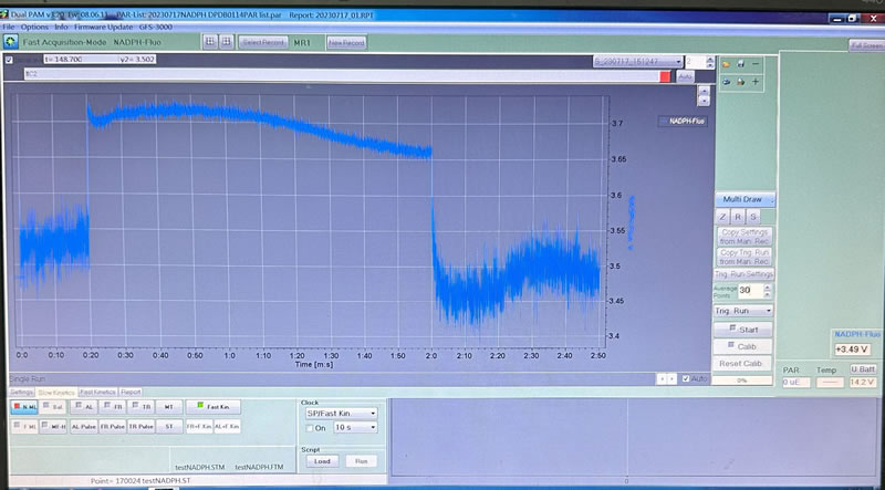 DUALPAM10010.jpg DUALPAM10010.jpg