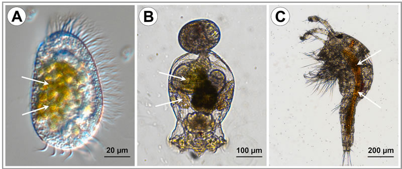 圖326010601.jpg 圖326010601.jpg