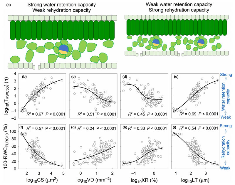 圖325121101.jpg 圖325121101.jpg