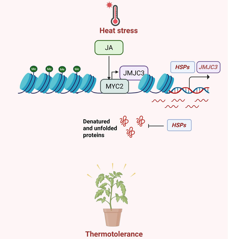 圖725121001.jpg 圖725121001.jpg