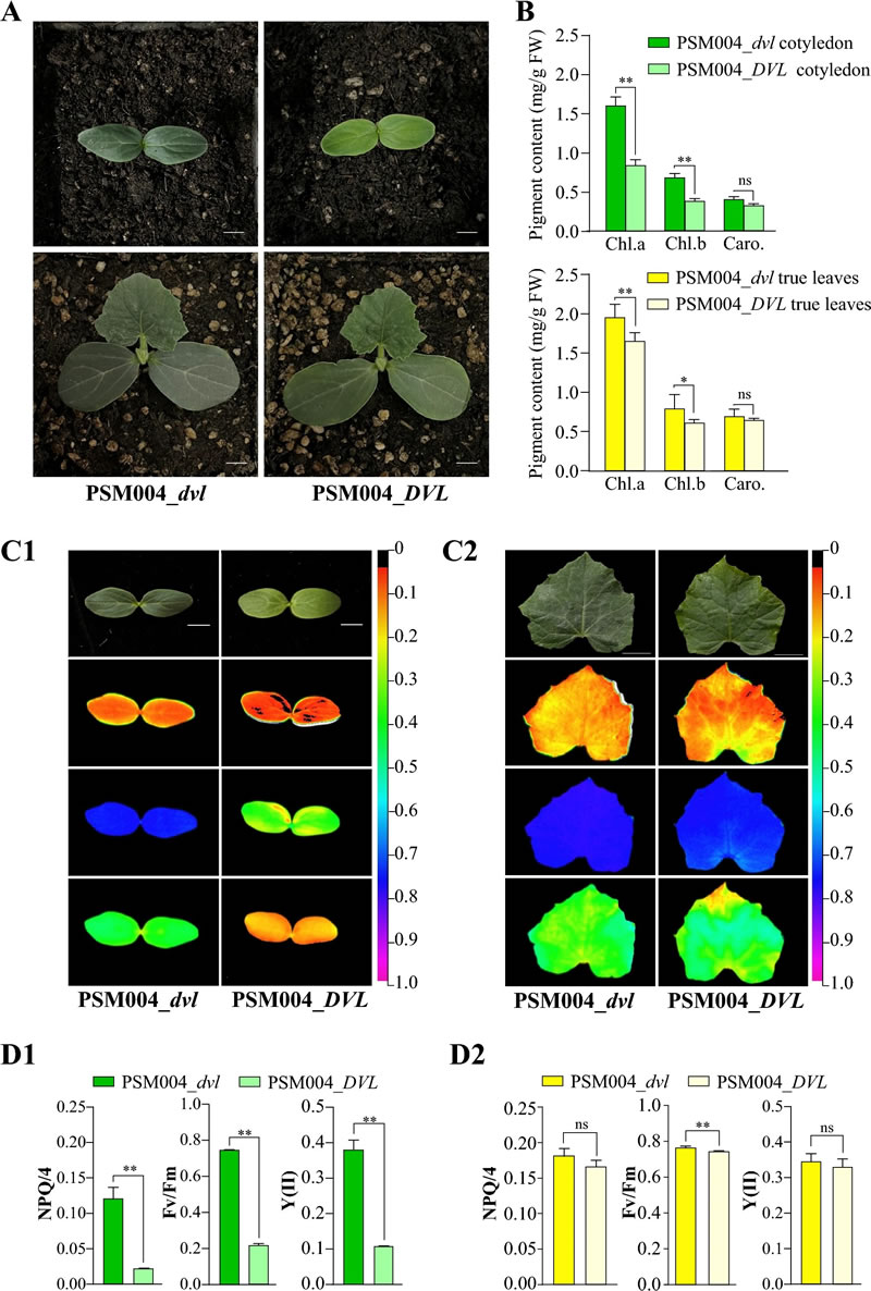 圖325111001.jpg 圖325111001.jpg