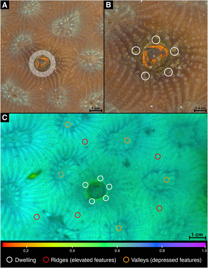 圖125110701.jpg 圖125110701.jpg