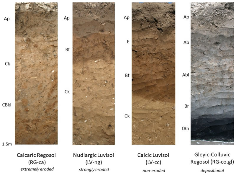 圖125102801.jpg 圖125102801.jpg