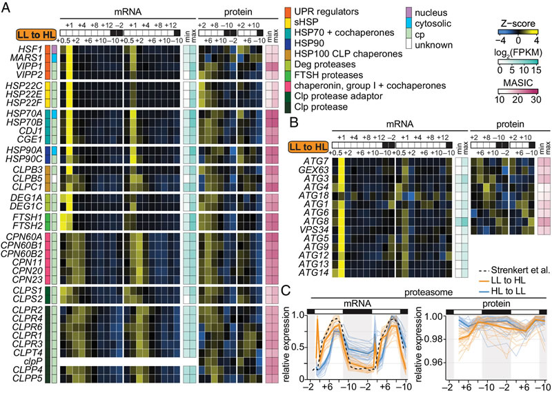 圖426011901.jpg 圖426011901.jpg