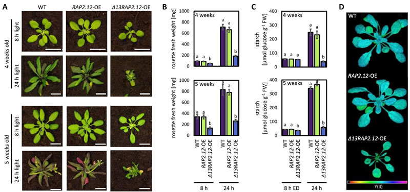 圖226011901.jpg 圖226011901.jpg