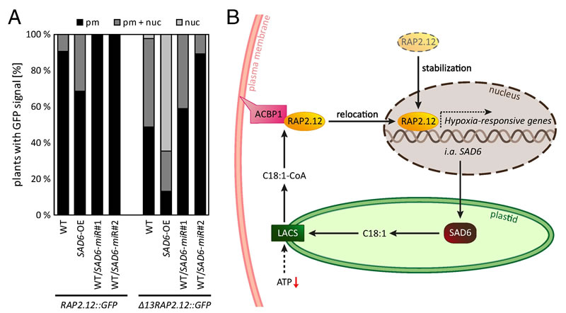 圖126011901.jpg 圖126011901.jpg