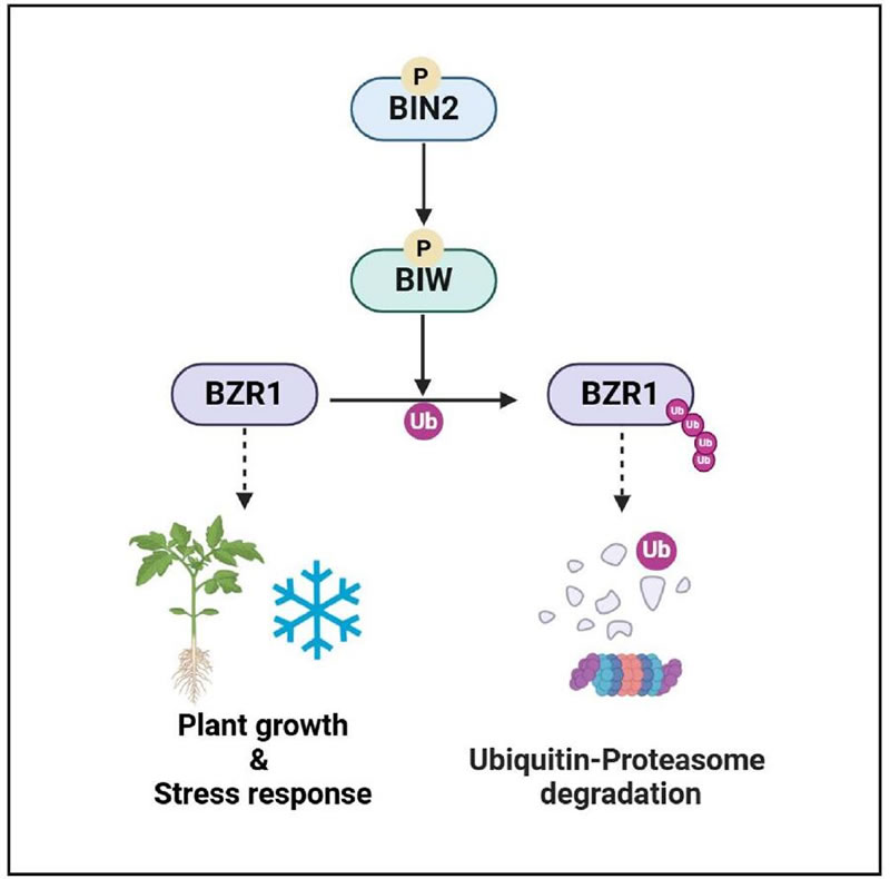 圖2226012801.jpg 圖2226012801.jpg