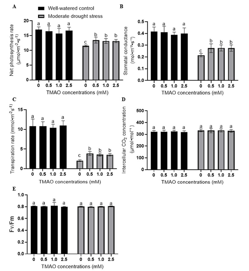 圖2026012801.jpg 圖2026012801.jpg