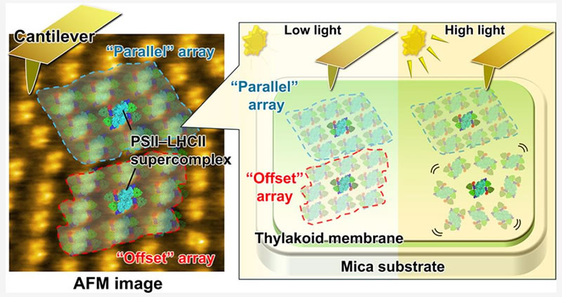 圖1926012801.jpg 圖1926012801.jpg