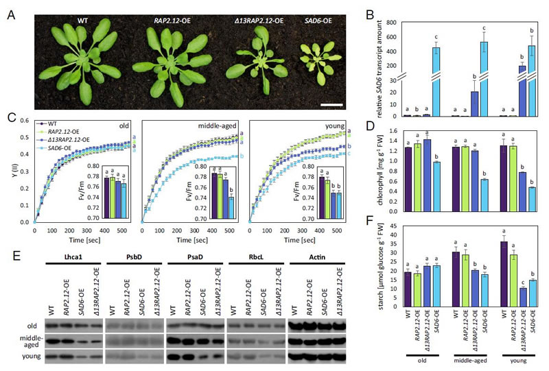 圖1726012801.jpg 圖1726012801.jpg