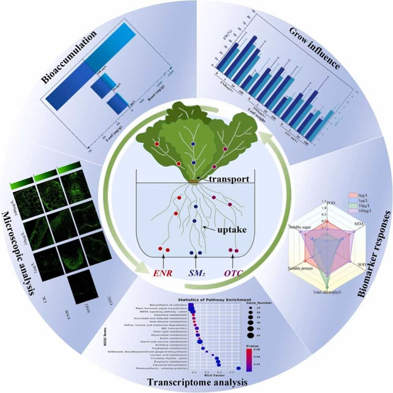 圖1326012801.jpg 圖1326012801.jpg