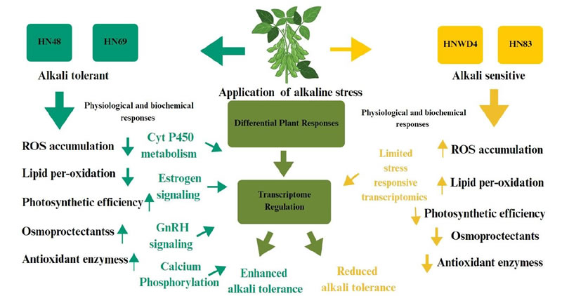 圖1126012801.jpg 圖1126012801.jpg