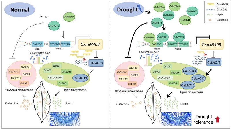 圖1026012801.jpg 圖1026012801.jpg