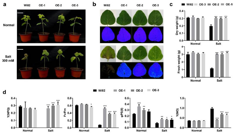圖726012801.jpg 圖726012801.jpg